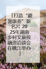 打造“避暑康养”新名片 2025年湖南乡村文旅投融资洽谈会在桃江举办