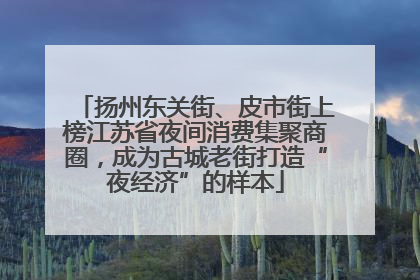 扬州东关街、皮市街上榜江苏省夜间消费集聚商圈，成为古城老街打造“夜经济”的样本