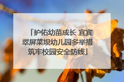 护佑幼苗成长 宜宾翠屏菜坝幼儿园多举措筑牢校园安全防线