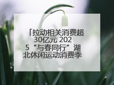 拉动相关消费超30亿元 2025“与春同行”湖北休闲运动消费季活动圆满收官
