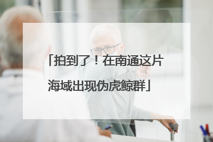 拍到了！在南通这片海域出现伪虎鲸群