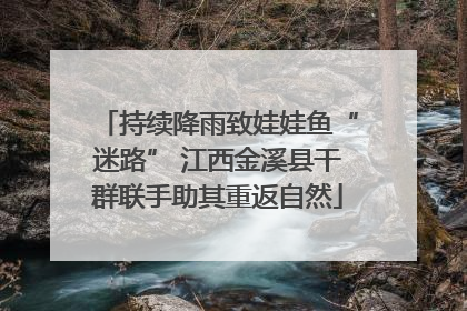 持续降雨致娃娃鱼“迷路” 江西金溪县干群联手助其重返自然