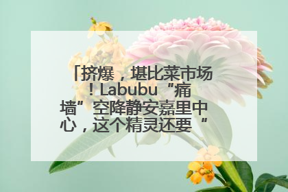 挤爆，堪比菜市场！Labubu“痛墙”空降静安嘉里中心，这个精灵还要“突袭”便利店？