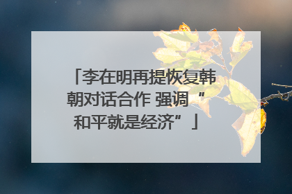 李在明再提恢复韩朝对话合作 强调“和平就是经济”