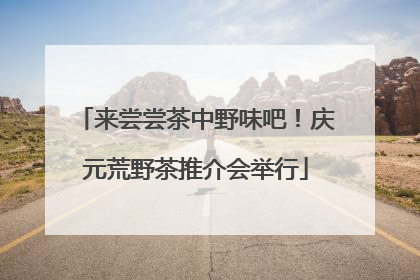 来尝尝茶中野味吧！庆元荒野茶推介会举行