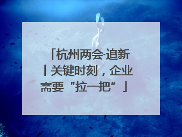杭州两会·追新丨关键时刻，企业需要“拉一把”