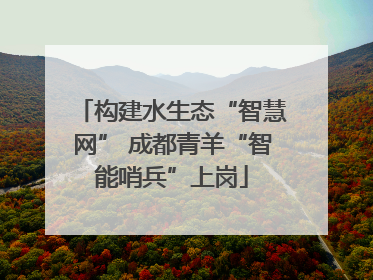 构建水生态“智慧网” 成都青羊“智能哨兵”上岗