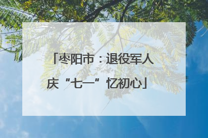枣阳市：退役军人庆“七一”忆初心