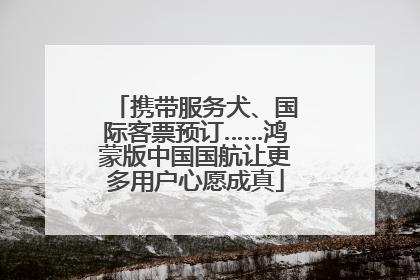 携带服务犬、国际客票预订……鸿蒙版中国国航让更多用户心愿成真