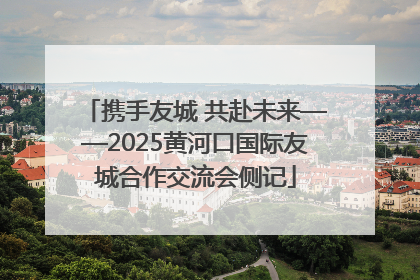 携手友城 共赴未来——2025黄河口国际友城合作交流会侧记