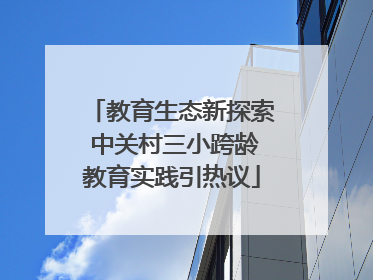教育生态新探索 中关村三小跨龄教育实践引热议