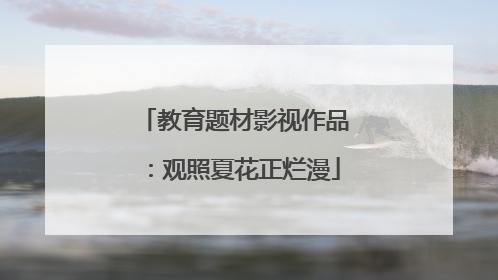 教育题材影视作品：观照夏花正烂漫