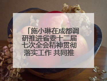 施小琳在成都调研推进省委十二届七次全会精神贯彻落实工作 共同推动文旅深度融合高质量发展 加快打造支柱产业民生产业幸福产业