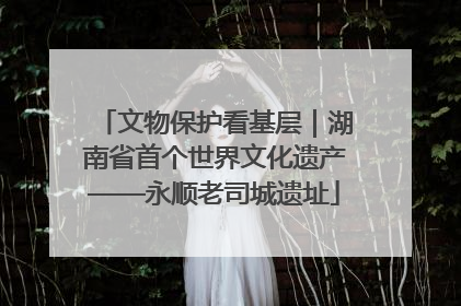 文物保护看基层｜湖南省首个世界文化遗产——永顺老司城遗址