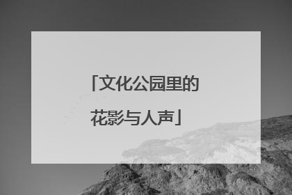 文化公园里的花影与人声