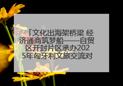 文化出海架桥梁 经济通商筑梦船——自贸区开封片区承办2025年匈牙利文旅交流对接活动专场