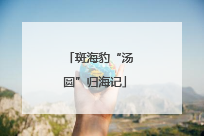 斑海豹“汤圆”归海记