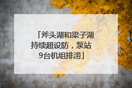 斧头湖和梁子湖持续超设防，泵站9台机组排涝