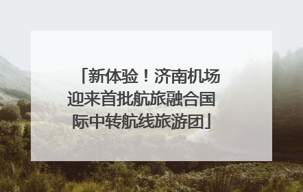 新体验！济南机场迎来首批航旅融合国际中转航线旅游团