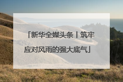 新华全媒头条丨筑牢应对风雨的强大底气