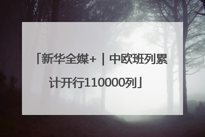 新华全媒+｜中欧班列累计开行110000列