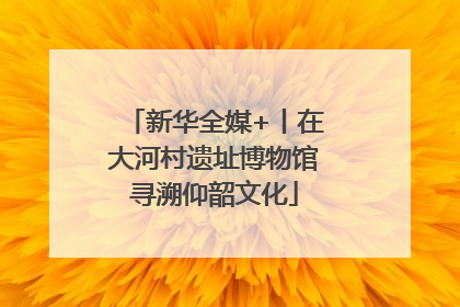新华全媒+丨在大河村遗址博物馆寻溯仰韶文化