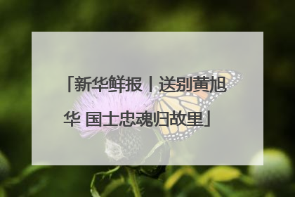 新华鲜报丨送别黄旭华 国士忠魂归故里