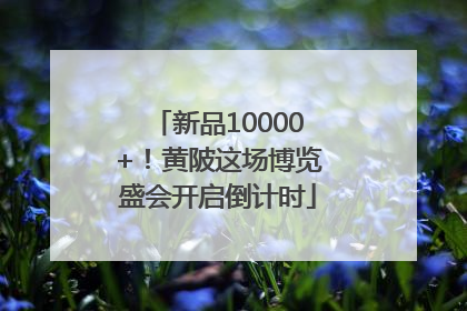 新品10000+！黄陂这场博览盛会开启倒计时