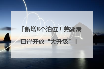 新增8个泊位！芜湖港口岸开放“大升级”