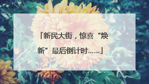 新民大街，惊喜“焕新”最后倒计时……