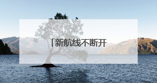 新航线不断开通！厦门港航运网络更丰富
