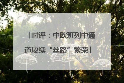 时评：中欧班列中通道赓续“丝路”繁荣