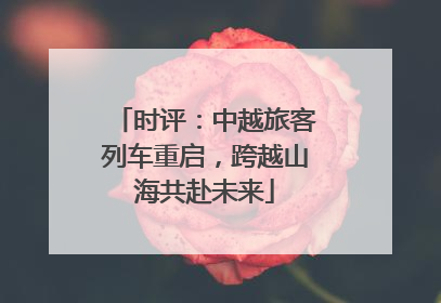 时评：中越旅客列车重启，跨越山海共赴未来