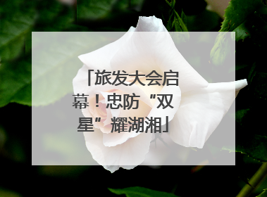 旅发大会启幕！忠防“双星”耀湖湘