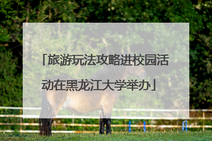 旅游玩法攻略进校园活动在黑龙江大学举办