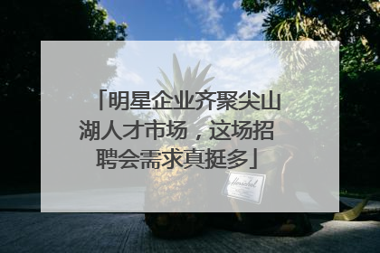 明星企业齐聚尖山湖人才市场，这场招聘会需求真挺多