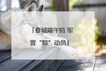 春城端午情 军营“粽”动员