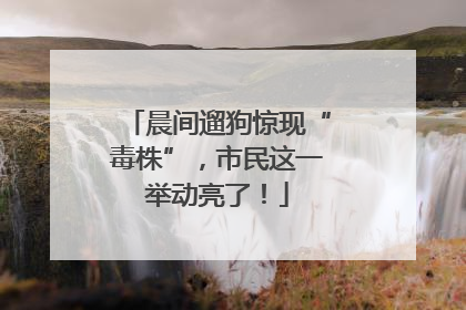 晨间遛狗惊现“毒株”，市民这一举动亮了！