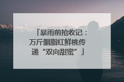 暴雨前抢收记：万斤胭脂红鲜桃传递“双向甜蜜”