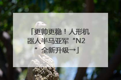 更帅更稳！人形机器人半马亚军“N2”全新升级→