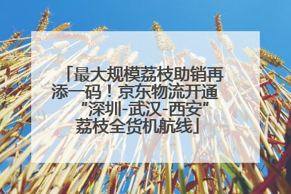最大规模荔枝助销再添一码！京东物流开通“深圳-武汉-西安” 荔枝全货机航线