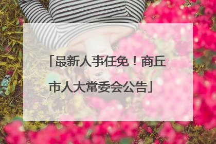 最新人事任免！商丘市人大常委会公告