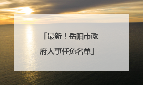 最新！岳阳市政府人事任免名单