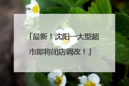 最新！沈阳一大型超市即将闭店调改！