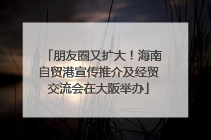 朋友圈又扩大！海南自贸港宣传推介及经贸交流会在大阪举办