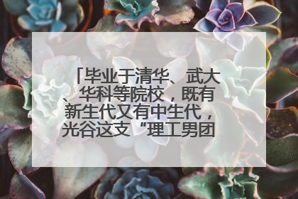 毕业于清华、武大、华科等院校，既有新生代又有中生代，光谷这支“理工男团”为何“出道”？