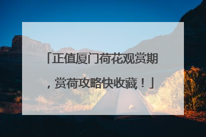 正值厦门荷花观赏期，赏荷攻略快收藏！