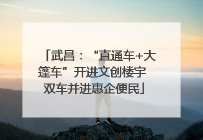 武昌：“直通车+大篷车”开进文创楼宇 双车并进惠企便民