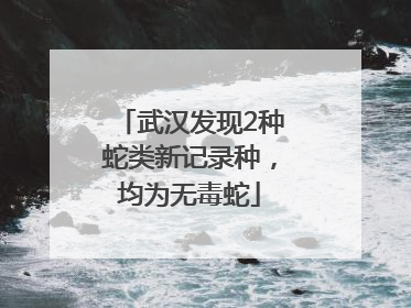 武汉发现2种蛇类新记录种，均为无毒蛇