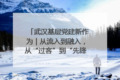 武汉基层党建新作为｜从流入到融入，从“过客”到“先锋” 武汉为流动党员筑起温暖之家